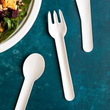 Disposable Cutlery