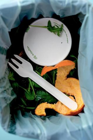 6.2" Compostable Paper Fork (1000) - main image