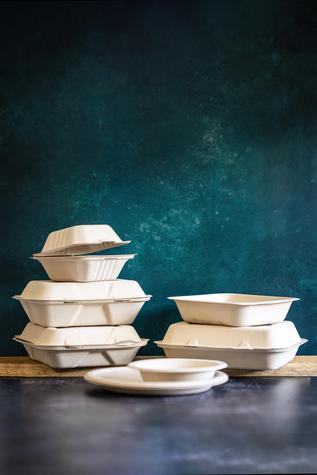 12oz Disposable Bagasse Bowl (500) - main image