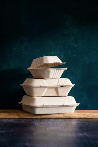 12oz Disposable Bagasse Bowl (500) - main image