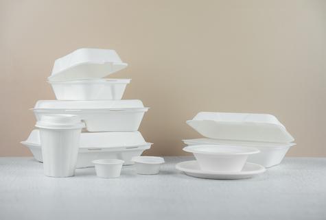 12oz Disposable Bagasse Bowl (500) - main image