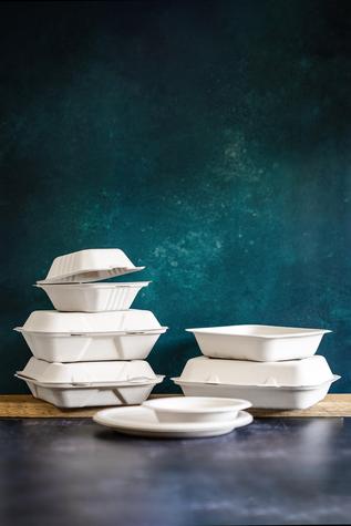 9" x 6" Large Bagasse Clamshell (200) - main image
