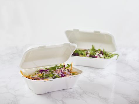 9" x 6" Large Bagasse Clamshell (200) - main image