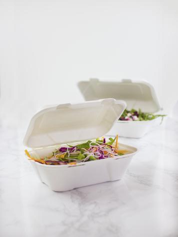 9" x 6" Large Bagasse Clamshell (200) - main image