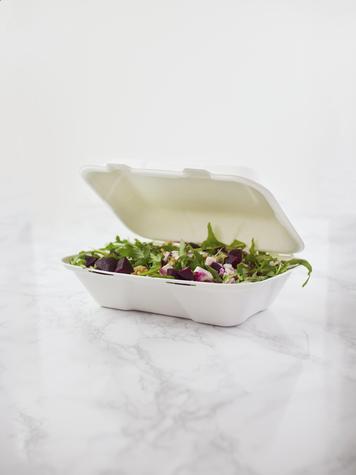 9" x 6" Large Bagasse Clamshell (200) - main image