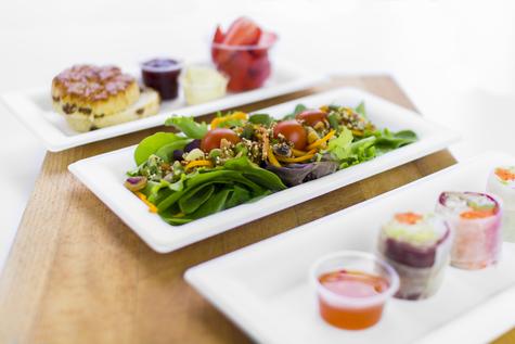 10 x 5in Rectangular Disposable Bagasse Plate (500) - main image