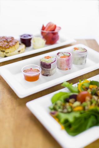 10 x 5in Rectangular Disposable Bagasse Plate (500) - main image