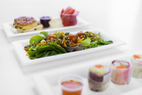 10 x 5in Rectangular Disposable Bagasse Plate (500) - main image