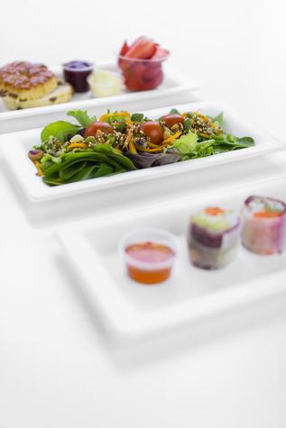 10 x 5in Rectangular Disposable Bagasse Plate (500) - main image