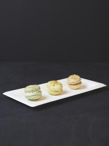 10 x 5in Rectangular Disposable Bagasse Plate (500) - main image