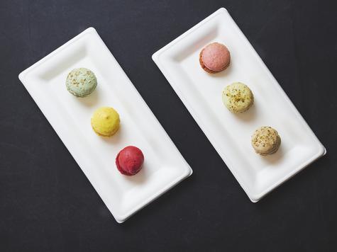 10 x 5in Rectangular Disposable Bagasse Plate (500) - main image