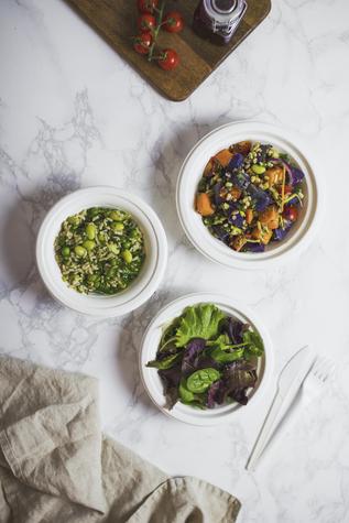 12oz Disposable Bagasse Bowl (500) - main image