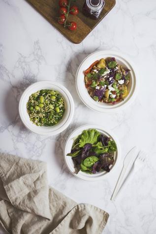 12oz Disposable Bagasse Bowl (500) - main image