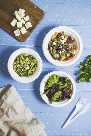 12oz Disposable Bagasse Bowl (500) - main image