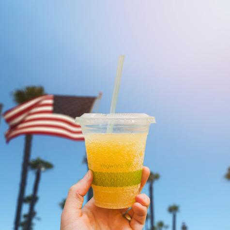 Medium Bagasse Chip Tray (500) - main image