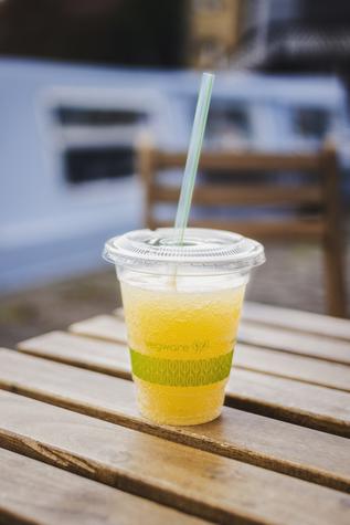 Medium Bagasse Chip Tray (500) - main image