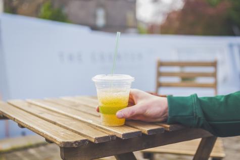 Medium Bagasse Chip Tray (500) - main image