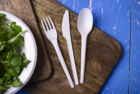 Medium Bagasse Chip Tray (500) - main image