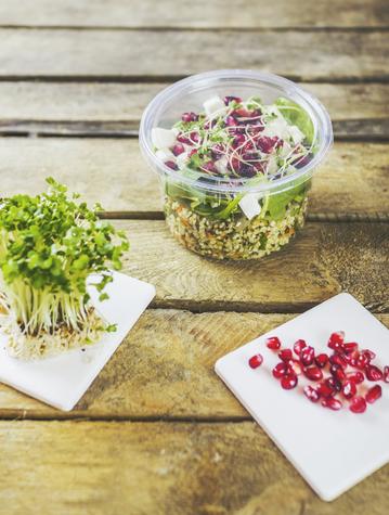 PLA Round Deli Lid (500/Fits 8-32oz Containers) - main image