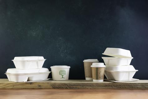 9" x 6" Large Bagasse Clamshell (200) - main image