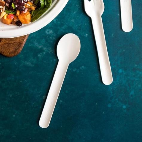6.2" Compostable Paper Spoon (1000) - main image