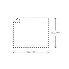 (1000) 70x210mm clear NatureFlex bag - thumbnail image 7