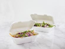 9" x 6" Large Bagasse Clamshell (200) - thumbnail image 13