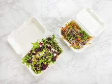 9" x 6" Large Bagasse Clamshell (200) - thumbnail image 17