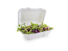 9" x 6" Large Bagasse Clamshell (200) - thumbnail image 19
