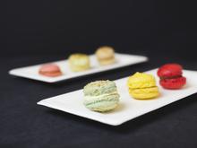 10 x 5in Rectangular Disposable Bagasse Plate (500) - thumbnail image 14