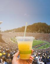 Medium Bagasse Chip Tray (500) - thumbnail image 20