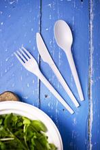 Medium Bagasse Chip Tray (500) - thumbnail image 26