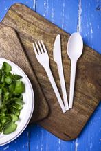 Medium Bagasse Chip Tray (500) - thumbnail image 28
