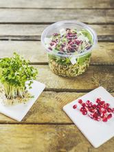 PLA Round Deli Lid (500/Fits 8-32oz Containers) - thumbnail image 16