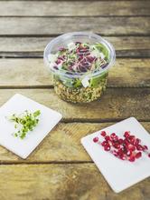 PLA Round Deli Lid (500/Fits 8-32oz Containers) - thumbnail image 22