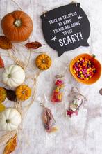 (1000) 70x210mm clear NatureFlex bag - thumbnail image 11