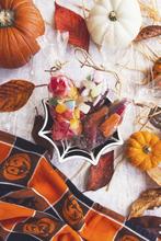 (1000) 70x210mm clear NatureFlex bag - thumbnail image 17