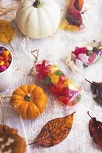 (1000) 70x210mm clear NatureFlex bag - thumbnail image 18