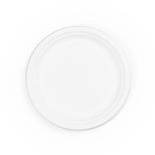 9" Disposable Bagasse Plate (500) - thumbnail image 3